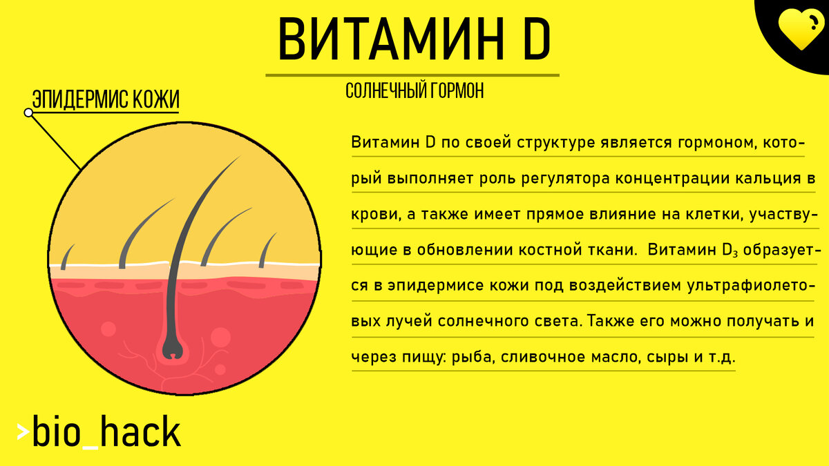 Популярно про гормоны. | BIOHACK | Дзен