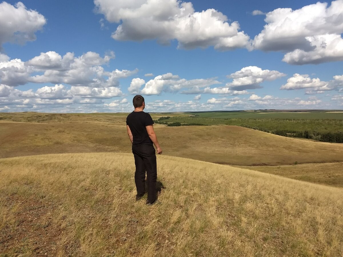 Любуюсь озимой пшеницей.