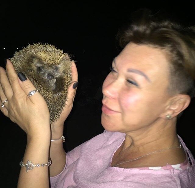 Инстаграм norkinntv