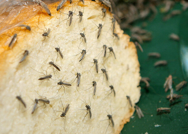 Фото: prikolnostey.net/uploads/posts/2014-07/1404291971_53.jpg