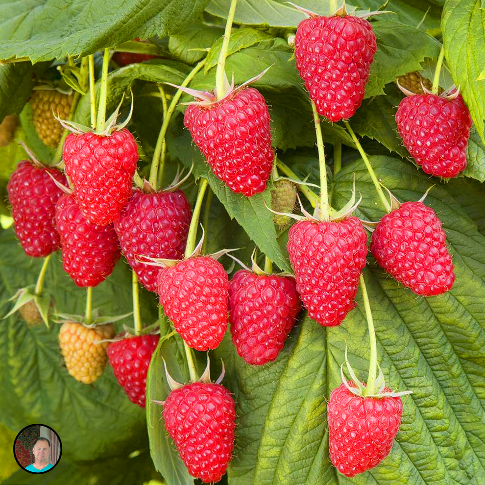 Как на подбор