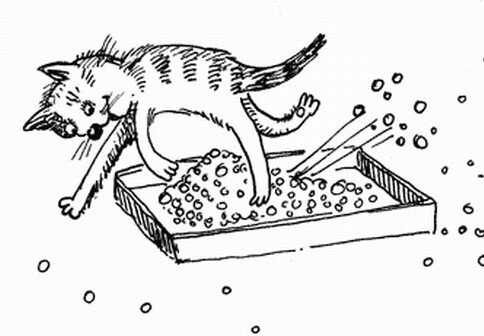 Рисунок в свободном доступе из интернета