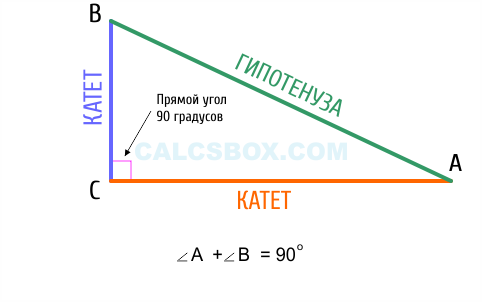 Прямоугольный треугольник