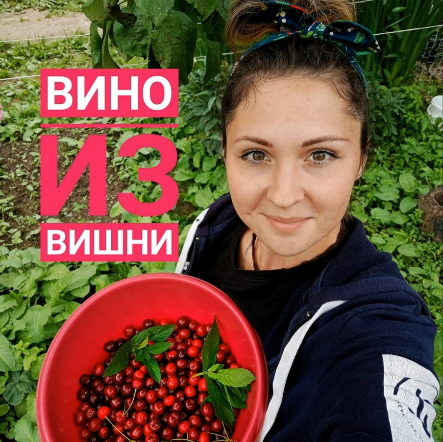 Как сделать вино из вишни | Діана Ребець | Дзен