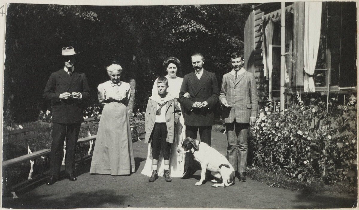 Фото из открытого источника: Яндекс картинки. 