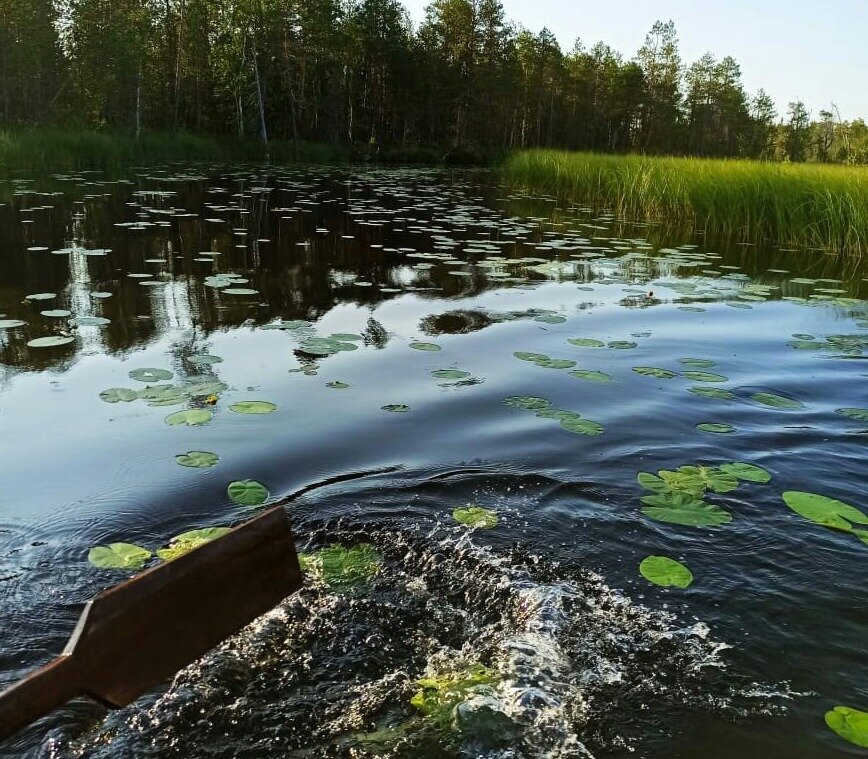 Красота и спокойствие на озере в Карелии