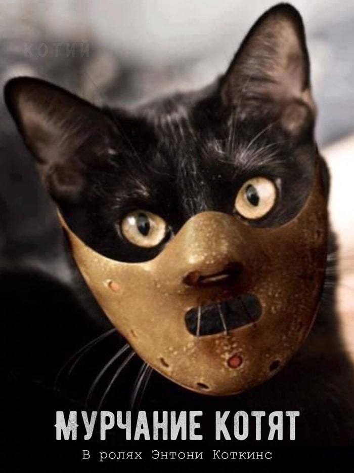 Мурчание котят:))