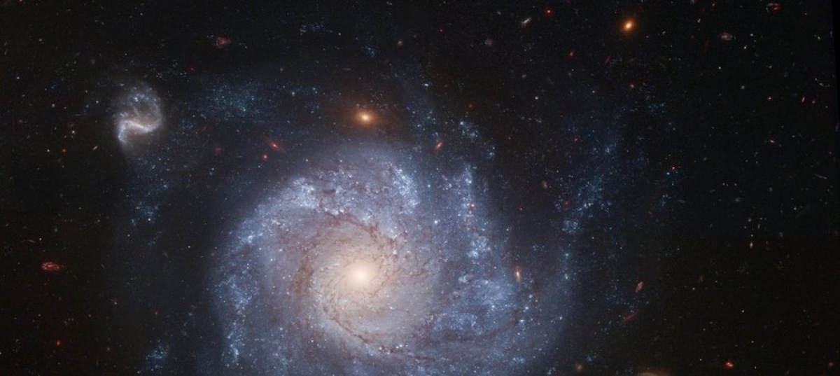 Рандомное фото источкик яндекс картин