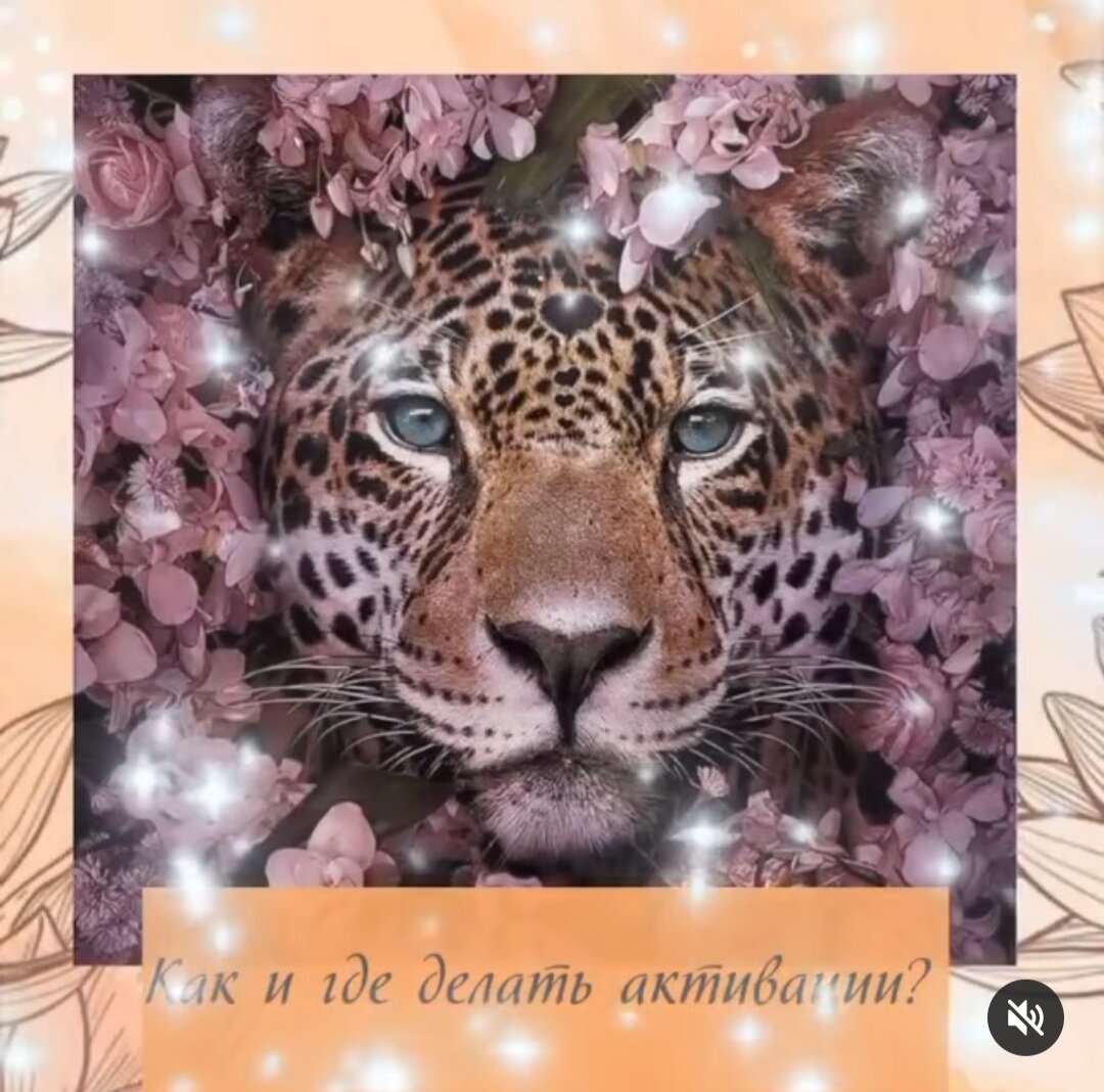 Мои дорогие😇многие не понимают как и самое главное ГДЕ им активировать благородных. 🥰🥰🥰
В каком секторе делать выталкивание и согревание ✨звезды!
Где им нужно сидеть чтобы сделать Активацию Птица 🦅 падает в гнездо ( она делается дома)
И в преддверии Китайского Нового года, я решила что сделаю вам 🎁
✨✨✨Я сделаю вам план квартиры, и подарю на месяц Активации. ✨✨✨
И всё это за 1000 р. 😲
У кого позволит вход жилья , рассчитаю Активацию стакан воды!!! 🚰
🛑Не упустите свой шанс. 🛑
Это действительно очень нужная вещь для любого человека.
Всём кто хочет приобрести такое ценное предложение пишите в
Direct или WhatsApp
⠀
⠀
⠀
#здоровье #психология #гороскоп #пп #зож #диета #камни #врач #прогноз #astro #эзотерика #звезды #лето #astrology #натальнаякарта #доктор #мак