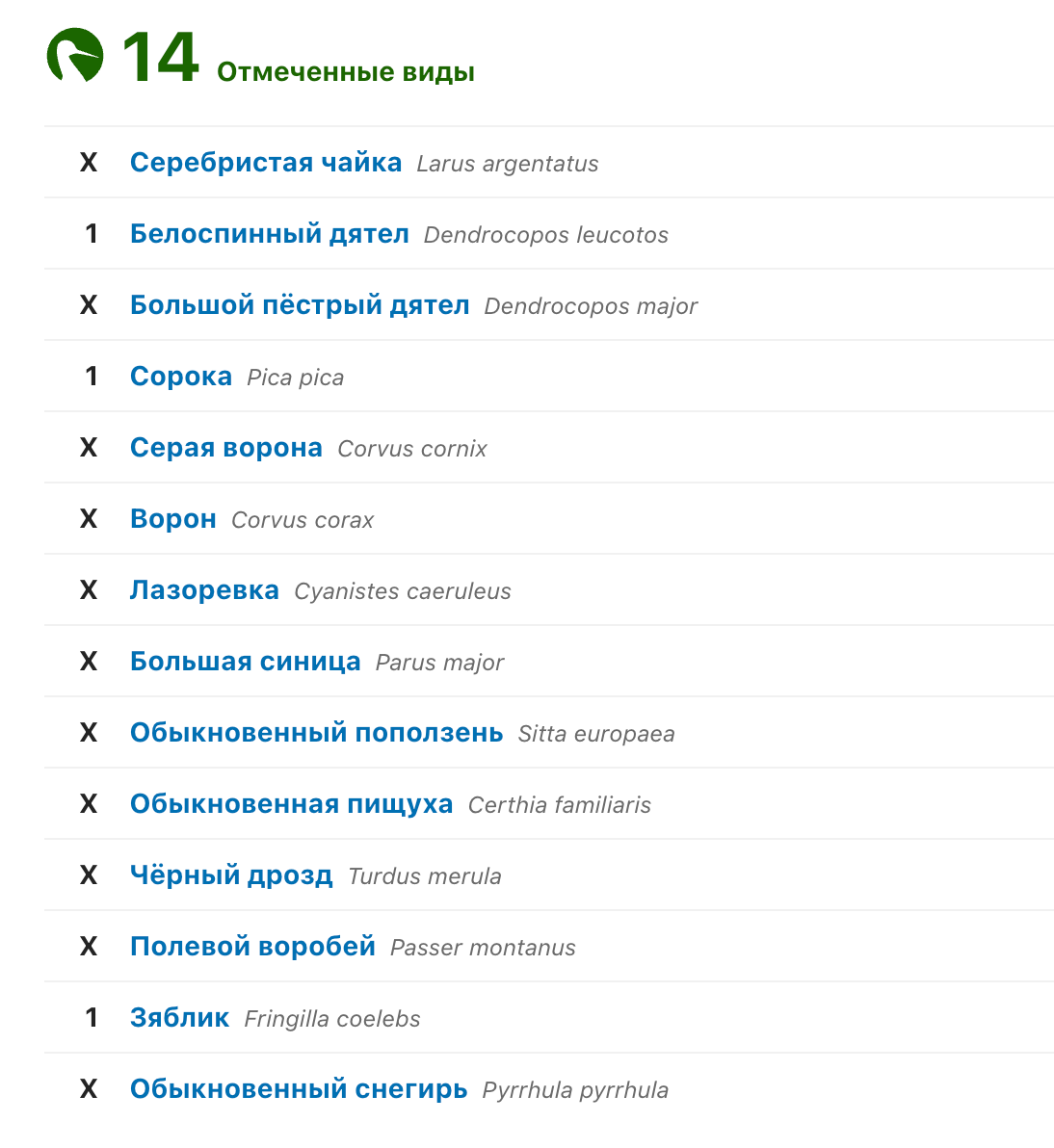 Птицы Сосновой поляны. Чек-лист 31.03.2022 | Птицы в большом городе | Дзен