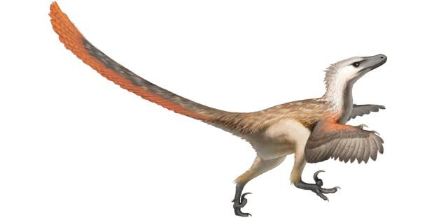 Велоцираптор. Изображение: Wikimedia Commons📷
