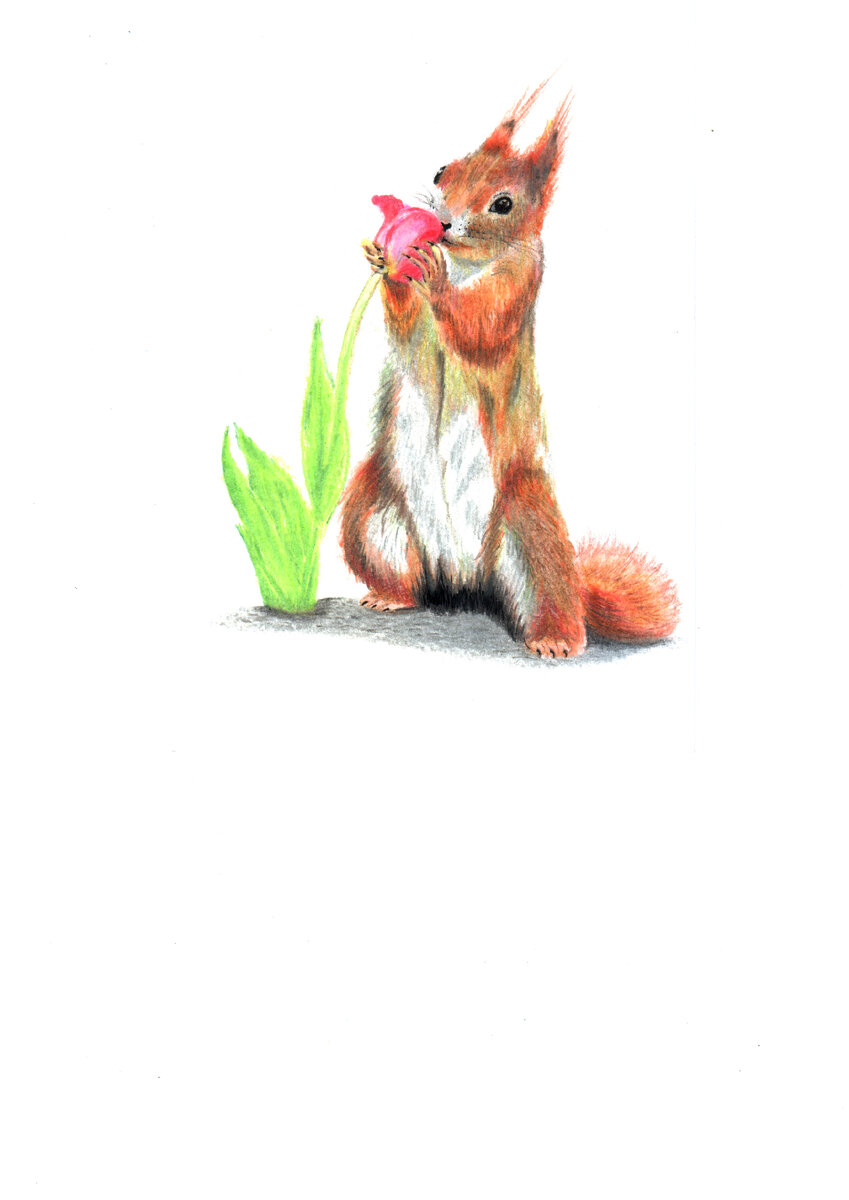 Рисунок цветными карандашами Animal artist