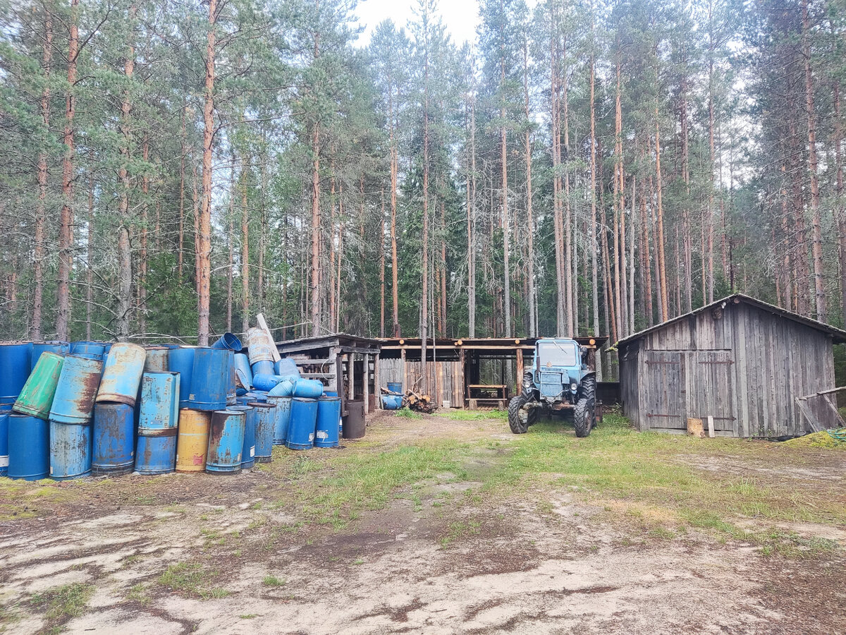 Грибоварня в Архангельской области.