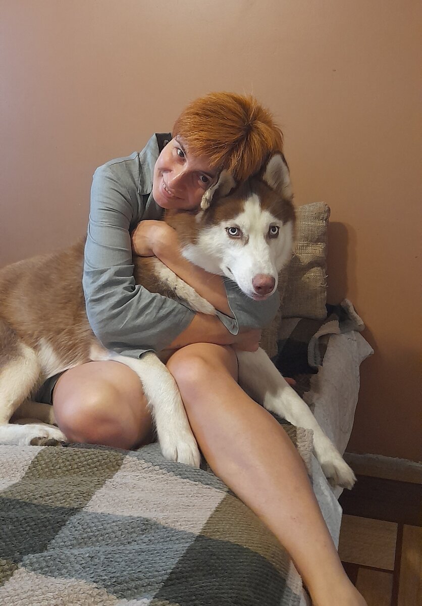 Волк домашний, добрый