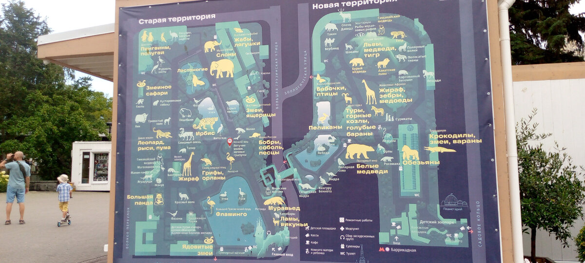 Сколько лет московскому зоопарку в 2024. Схема зоопарка в Москве. Московский зоопарк схема территории. Карта Московского зоопарка 2023. План Московского зоопарка 2024.