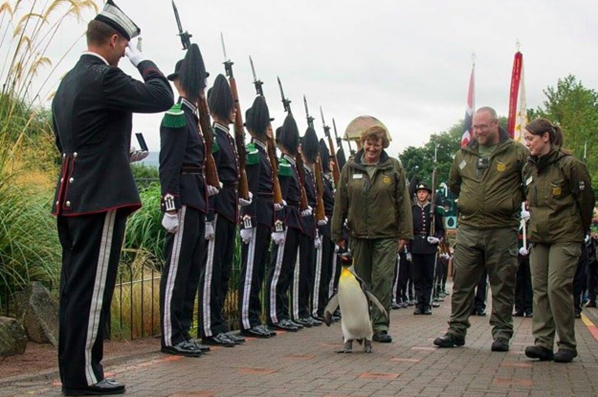 Картинка из открытых источников.