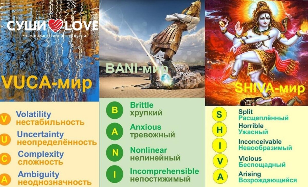 Bani мир. VUCA bani мир. Shiva мир. Bani мир Шива мир. Shiva мир Марк Розин