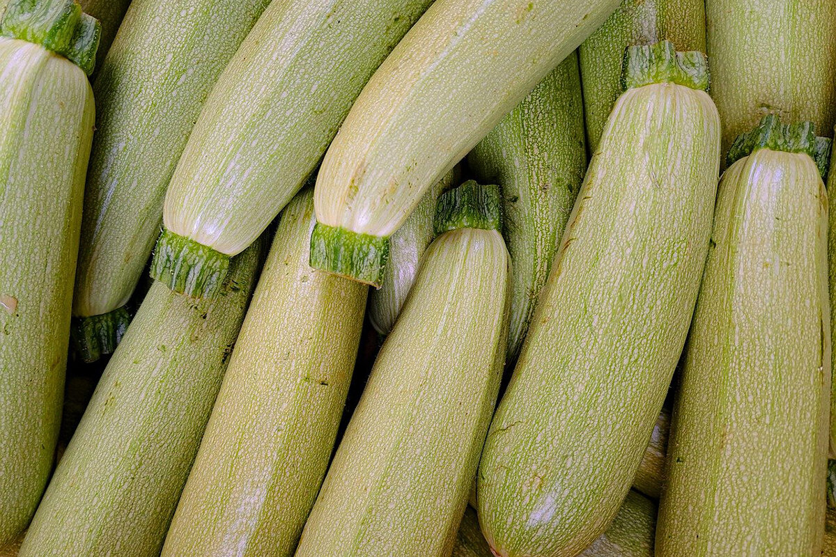    Фото: Janvanbizar / Pixabay.com