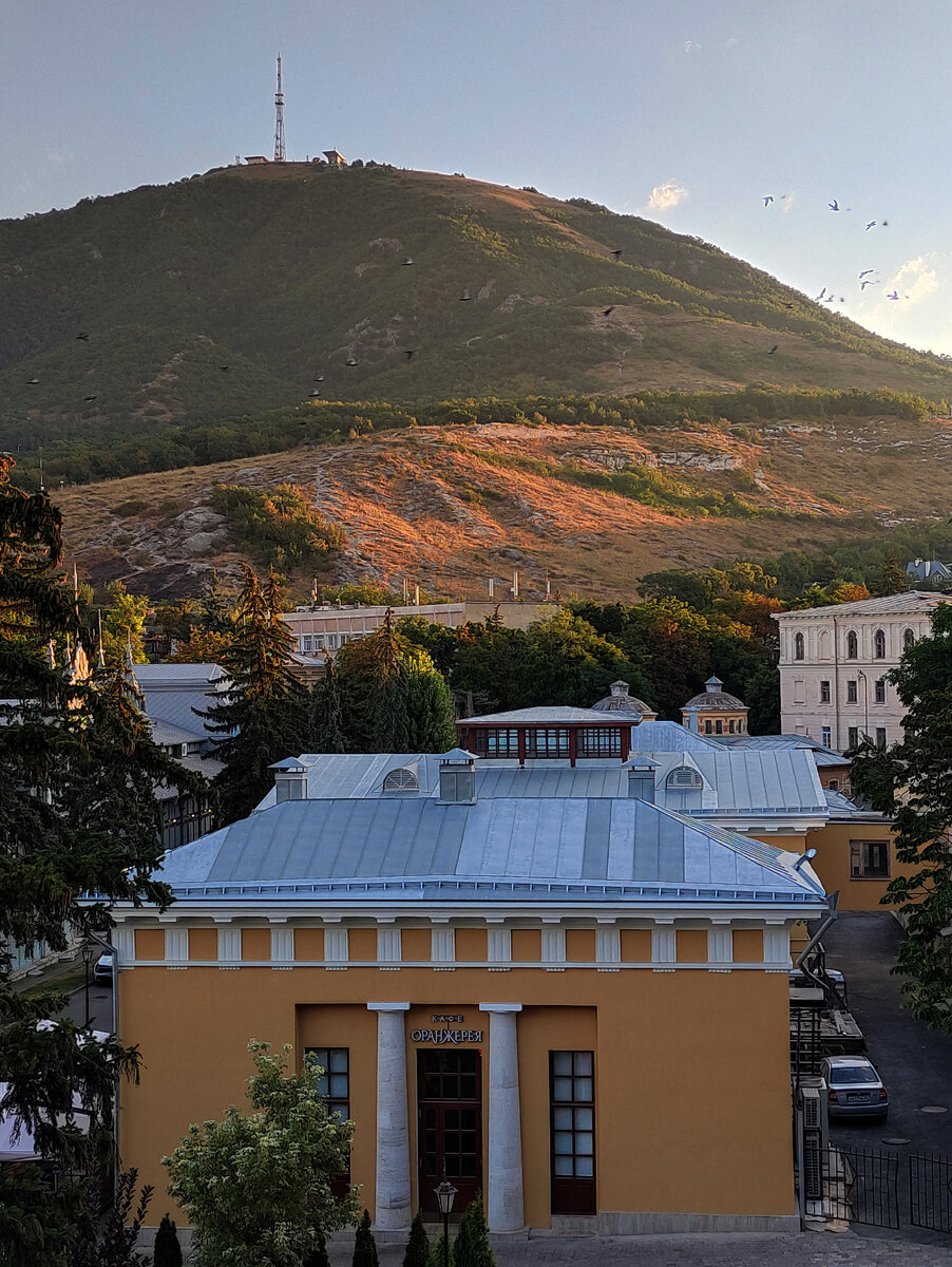 Серые краски сумерек начинают наполняться яркими цветами (август 2023 года)