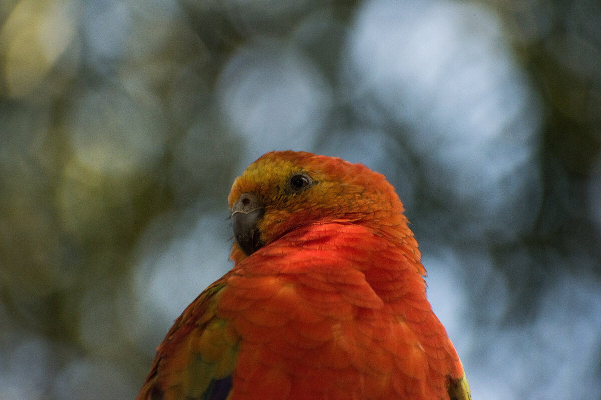 Картинка с бесплатного фотостока https://unsplash.com, автор Eric Stoynov