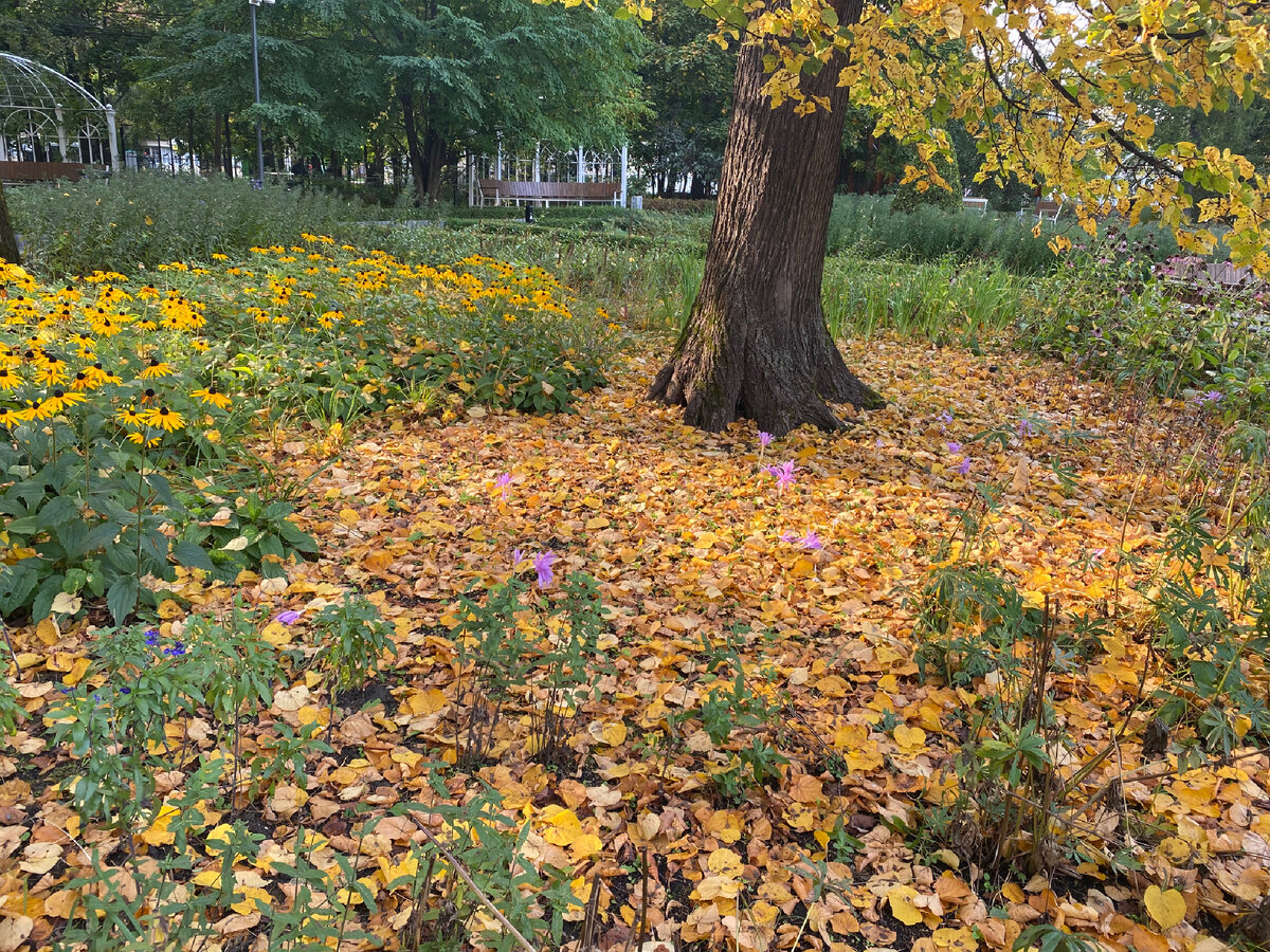 Возле дерева