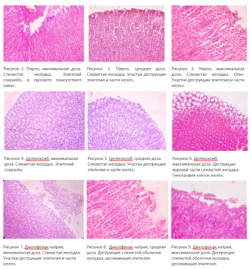    Фото: ПГНИУ     
