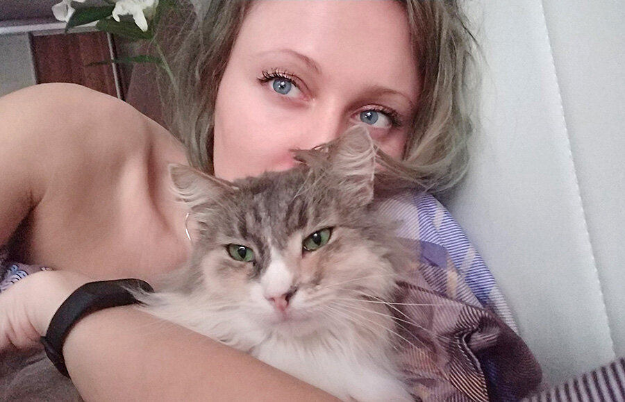 Как же мне сообщить кошке, что нам надо расстаться?... 