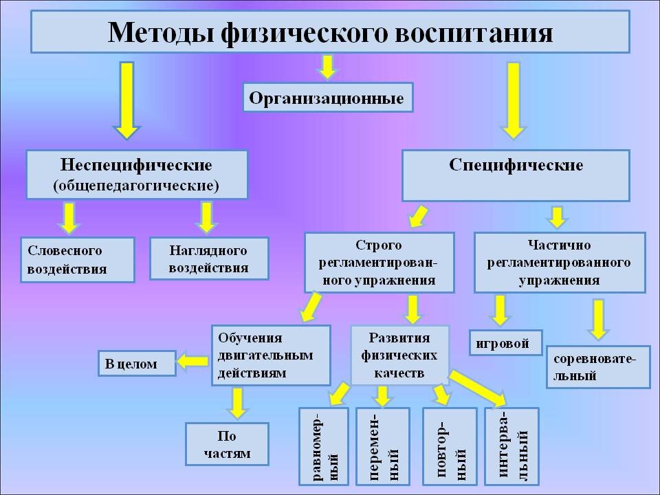 Физическое воспитание схема