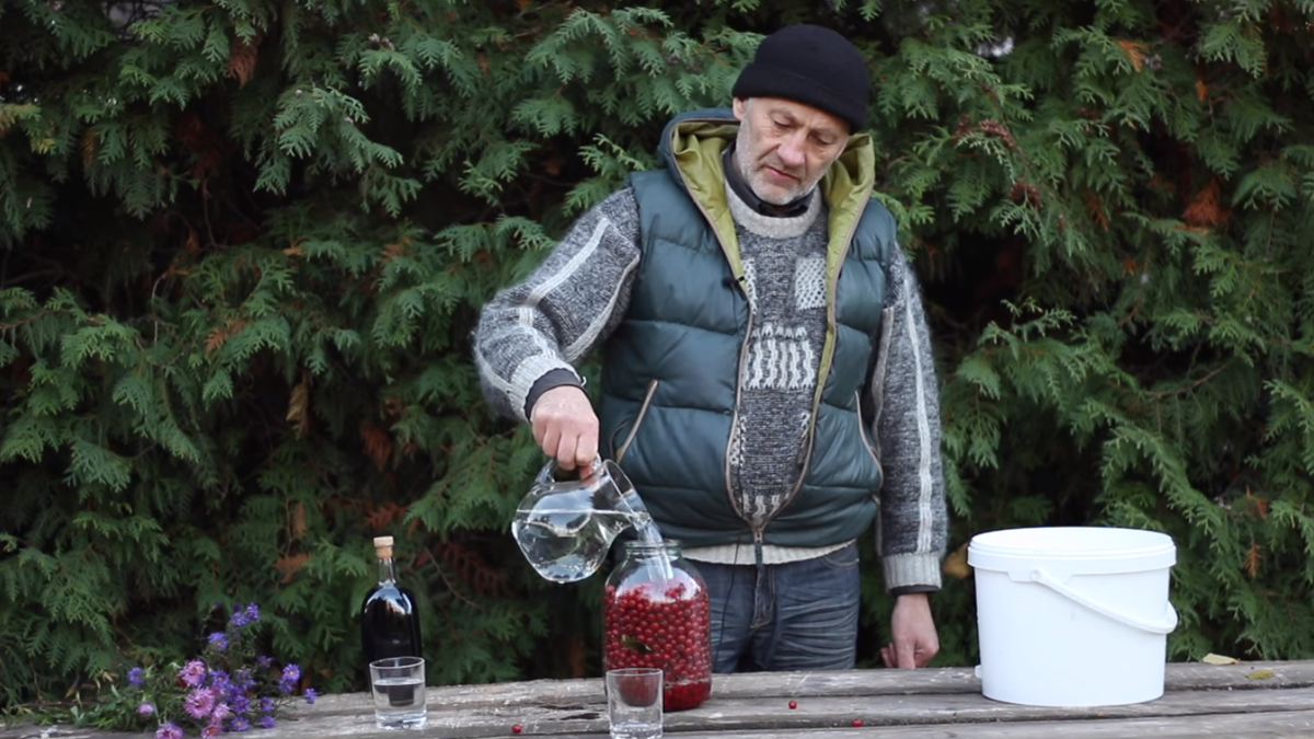 Как сделать лечебную настойку из боярышника на водке в домашних условиях? |  САО «В ХЛАМ» | Дзен