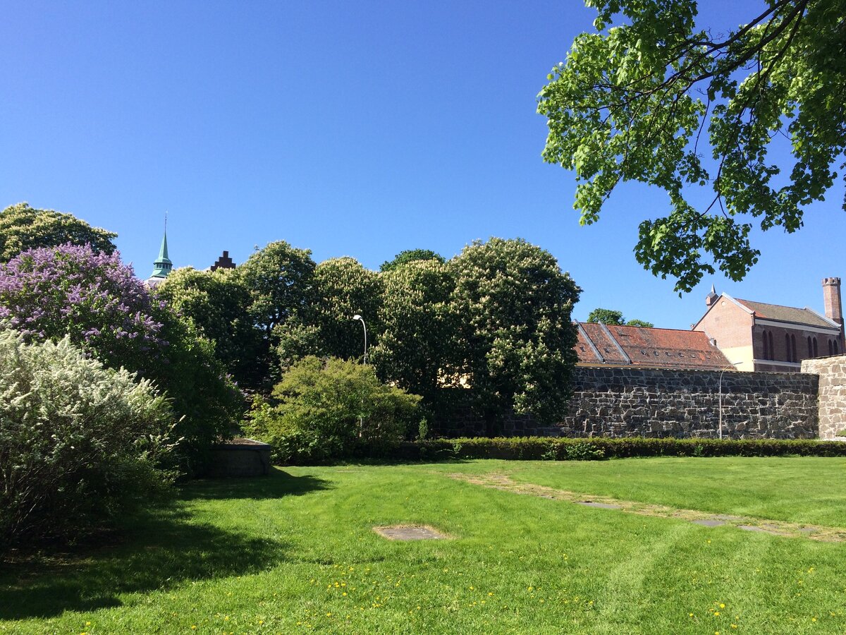 Весь город буквально утопает в зелени