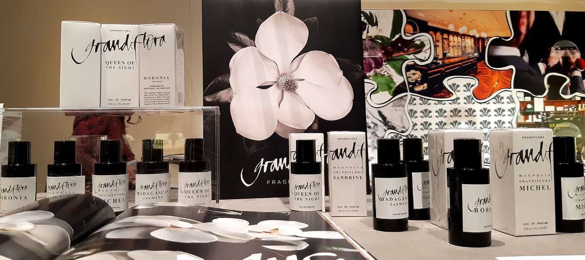 Queen of the Night Grandiflora