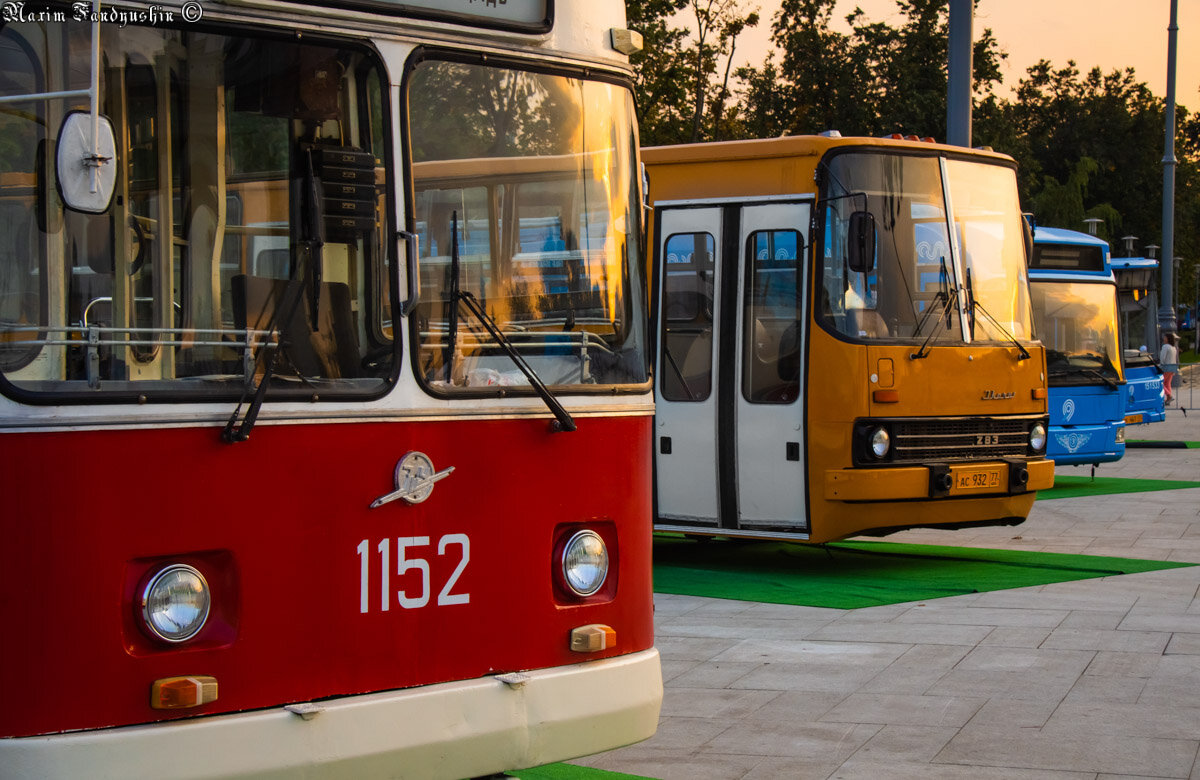 Старая добрая классика. Фото: Фандюшин Максим