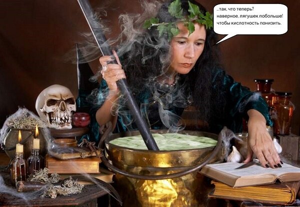 Есть разные способы исправления вкуса вина, но ни один не дает 100%-ю гарантию успеха