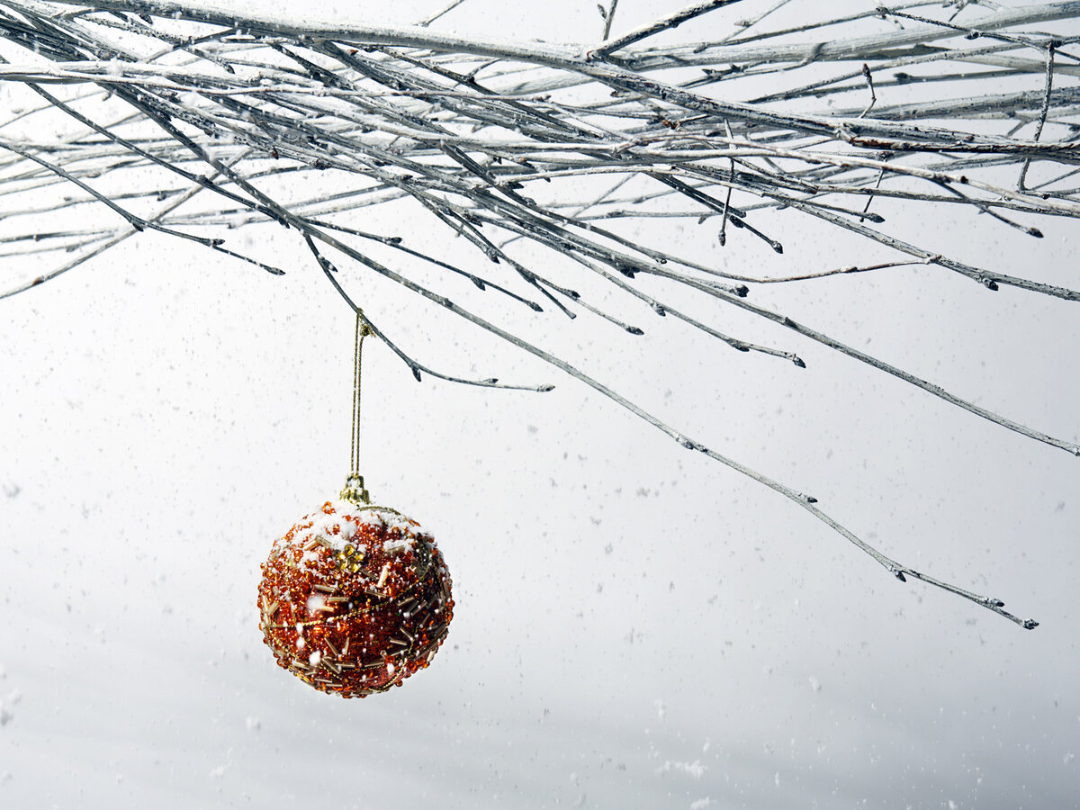 Фото с общего доступа сети Интернет