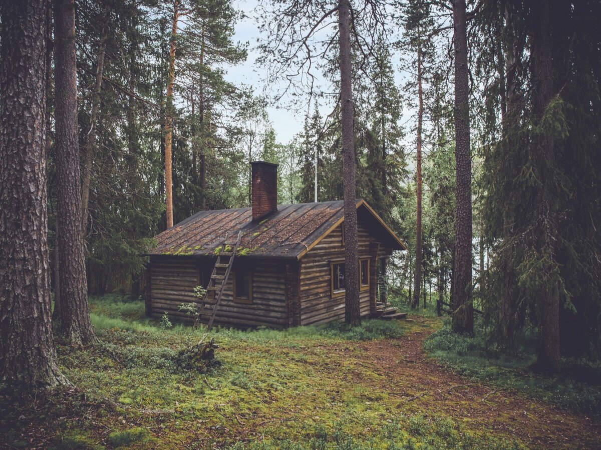 Лесные домики