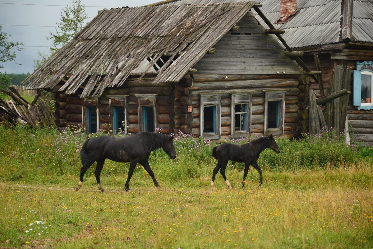 Красивая жизнь в деревне