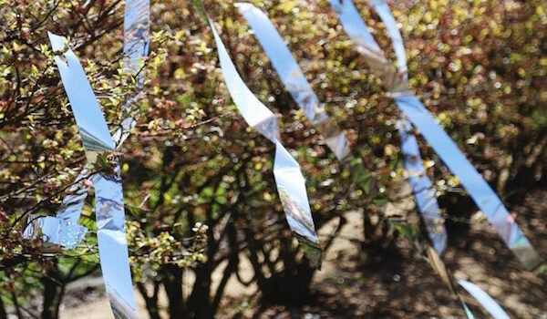 Фото: https://images-eu.ssl-images-amazon.com/images/I/61vOsEoJAqL.jpg