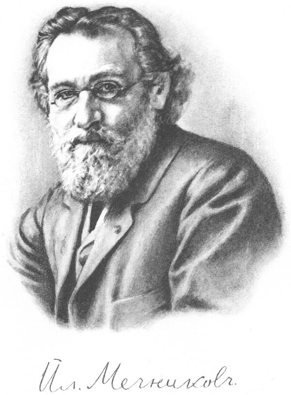 1845-1916. Русский и французский биолог (микробиолог, цитолог, эмбриолог, иммунолог, физиолог и патолог). Лауреат Нобелевской премии в области физиологии и медицины (1908). Один из основоположников эволюционной эмбриологии, первооткрыватель фагоцитоза и внутриклеточного пищеварения, создатель сравнительной патологии воспаления, фагоцитарной теории иммунитета, теории фагоцителлы, основатель научной геронтологии.
