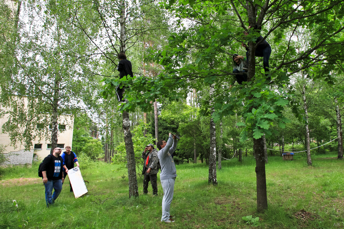 Фотоквест в лагере. Квест в парке для детей. Квест для детей на даче. Квест на природе. Детский квест в парке.