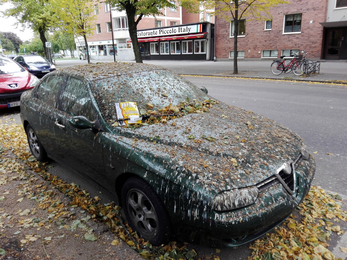 10 примет, в которые верят большинство русских водителей | Drivenn | Дзен