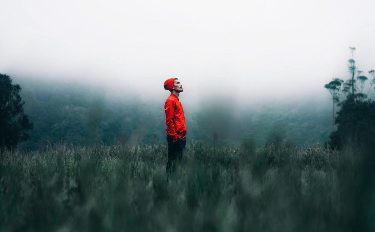 Источник фото: unsplash.com