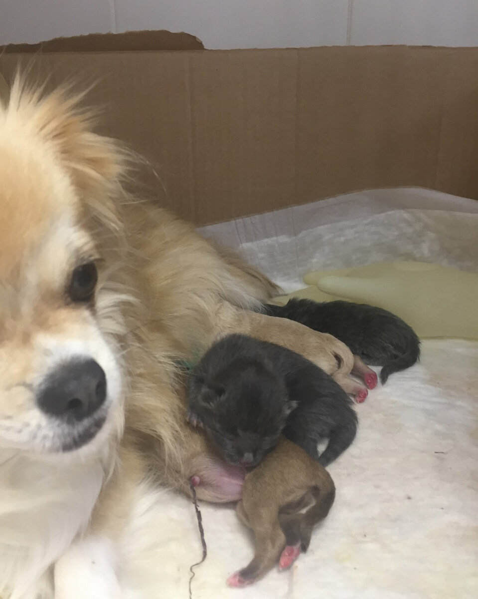 Время кормежки