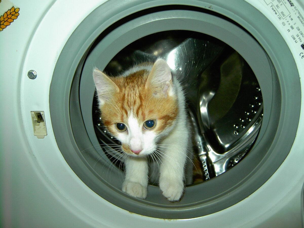 Чем можно заменить порошок в стиральной машине