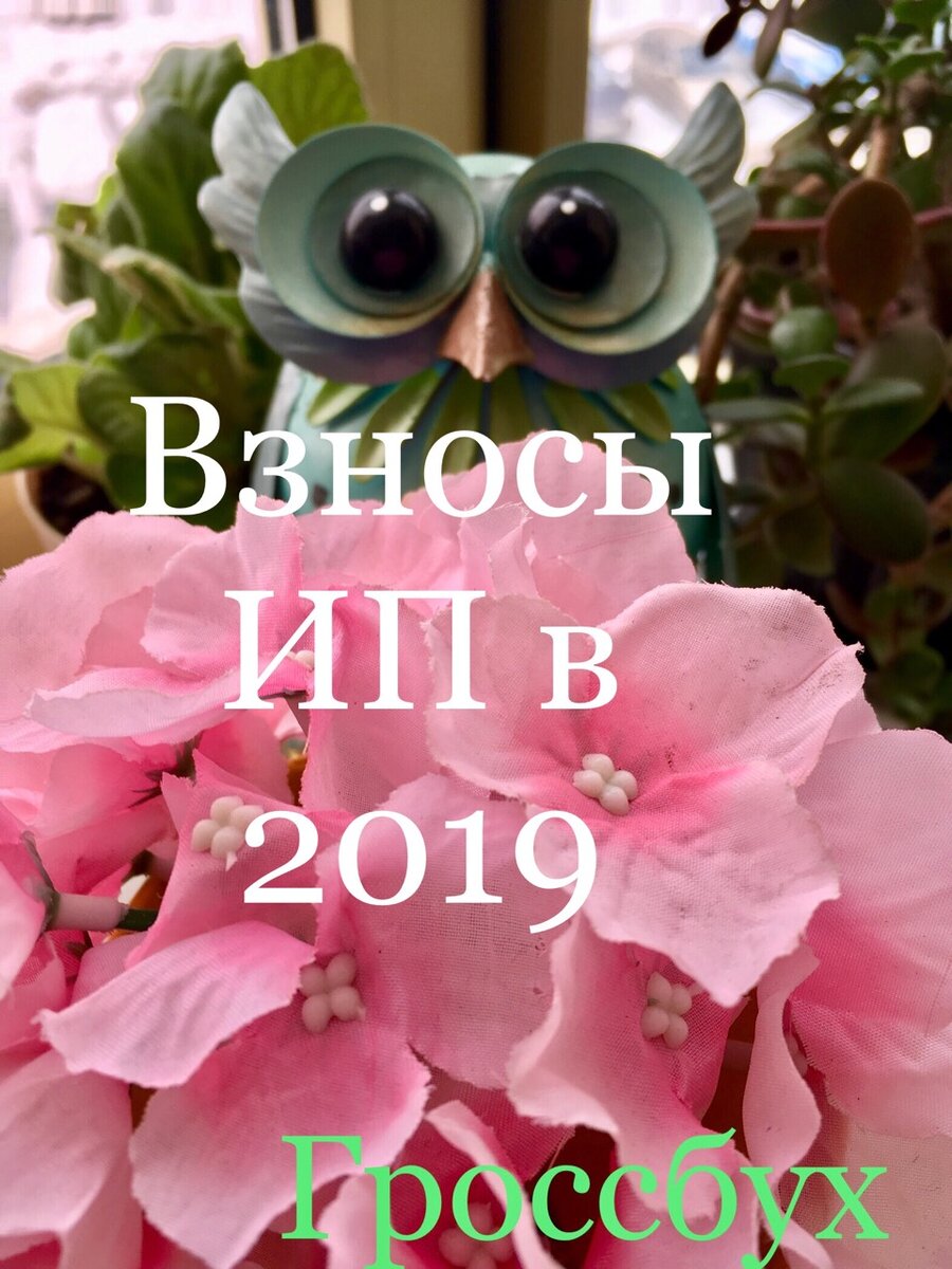 Размер фиксированных страховых взносов ИП в 2019 (п. 1 ст. 430 НК РФ). 