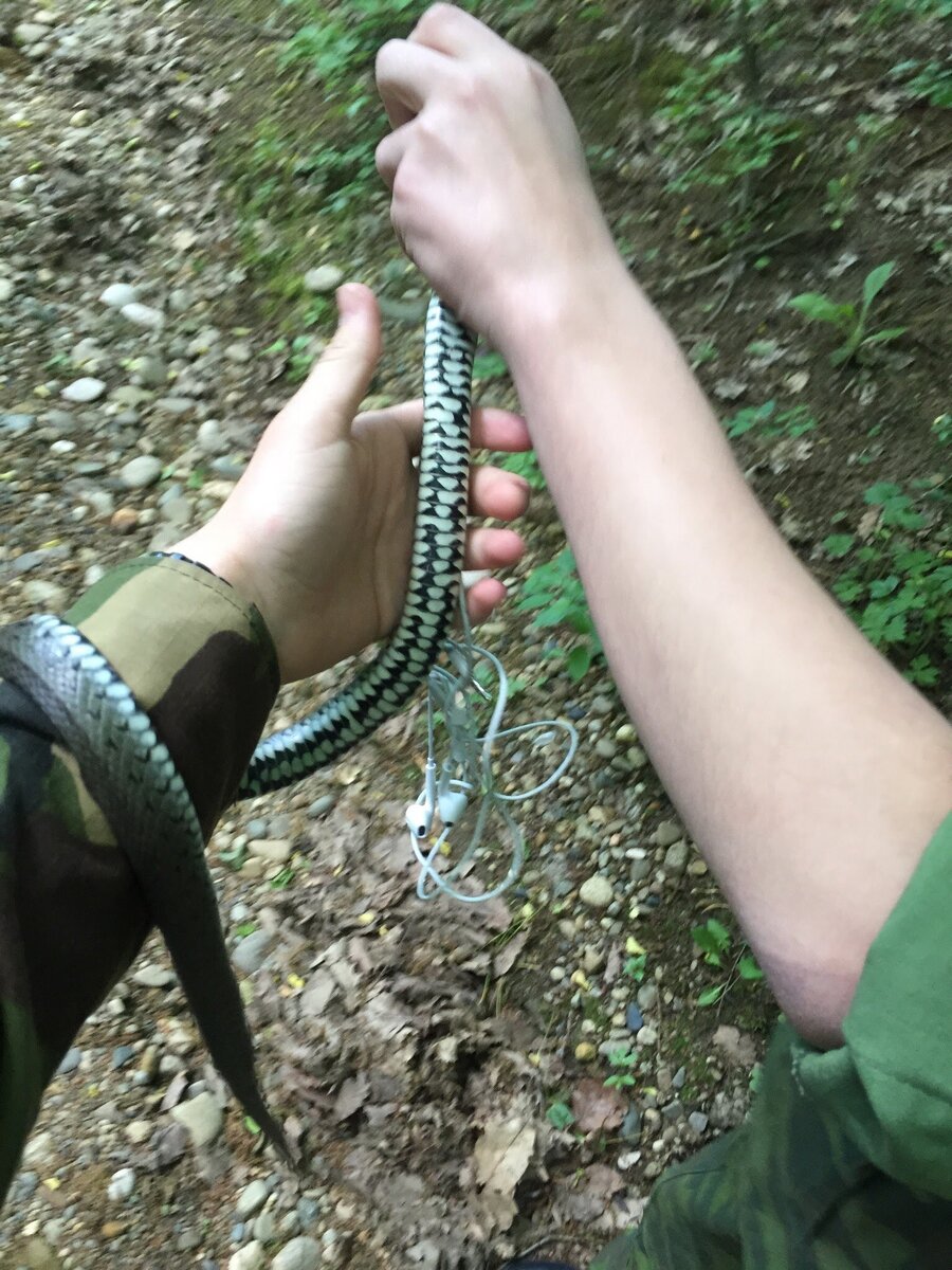 Фото с мертвецом