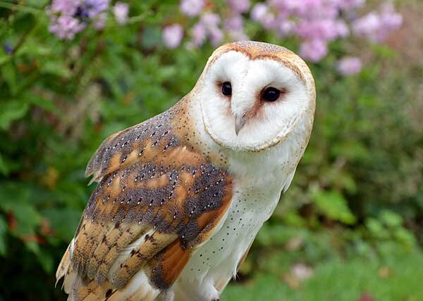 Источник фото: ramanujan25449.blogspot.com