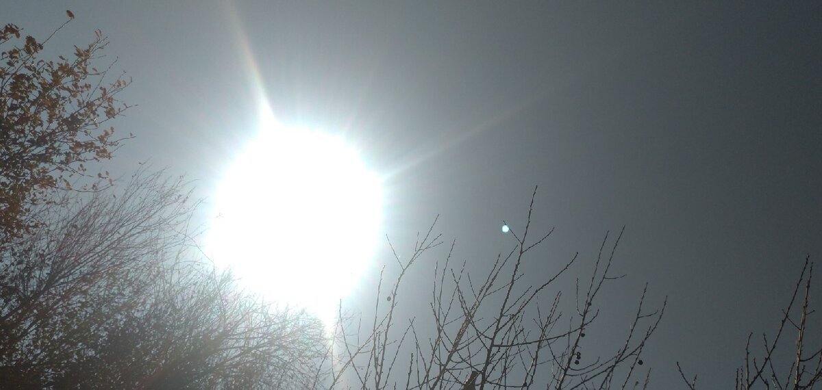 автор фото: собственная работа