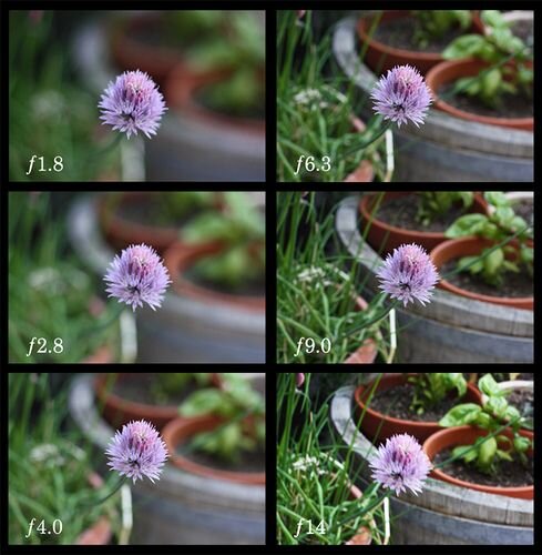 http://hashiworks.blogspot.com/2011/06/new-lens.html
