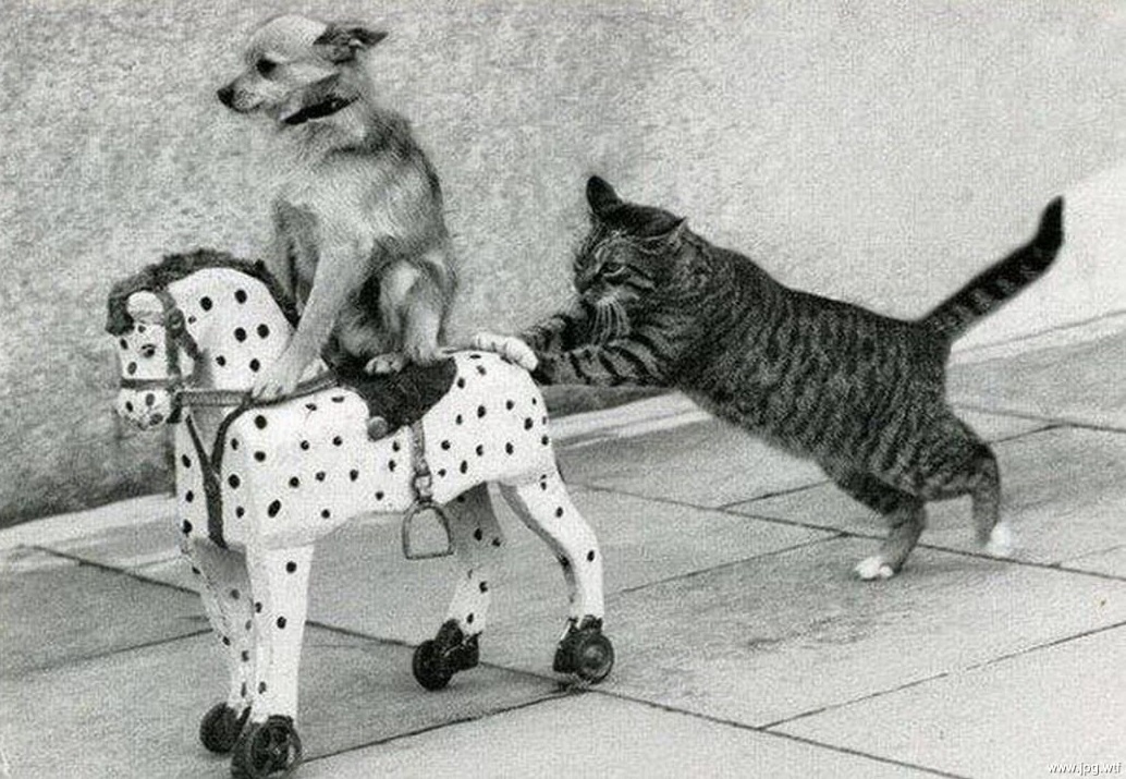 картинка из коллекции Яндекс.Картинки