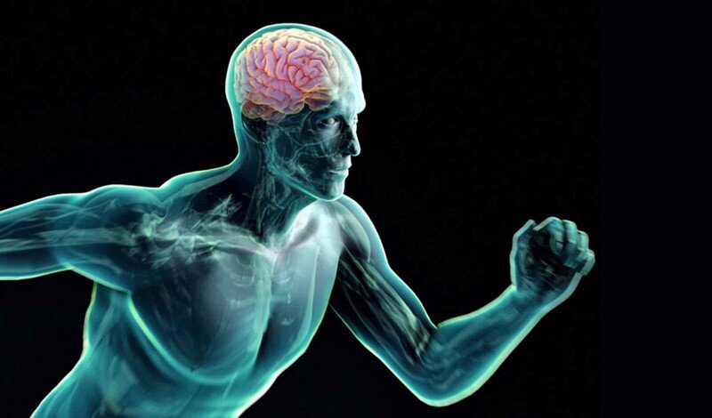 Источник: Яндекс Картинки